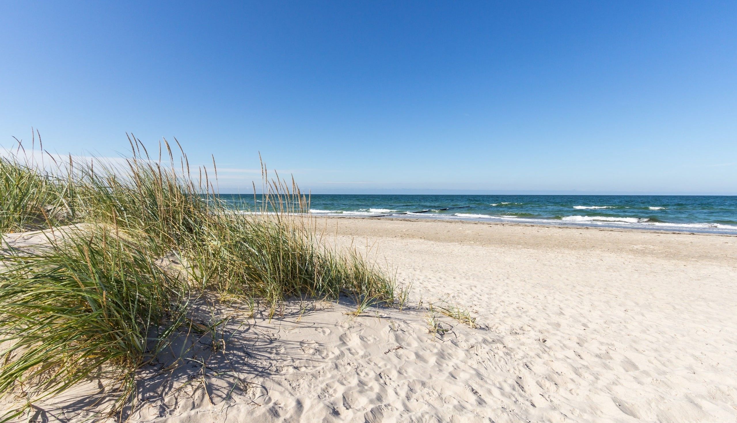 Ein sonniges Strandbild mit Dünenblick auf das Meer.